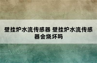 壁挂炉水流传感器 壁挂炉水流传感器会烧坏吗